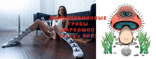 трава Богородицк
