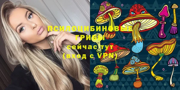 трава Богородицк