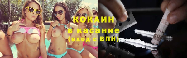 гашик Богданович