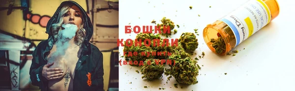 трава Богородицк