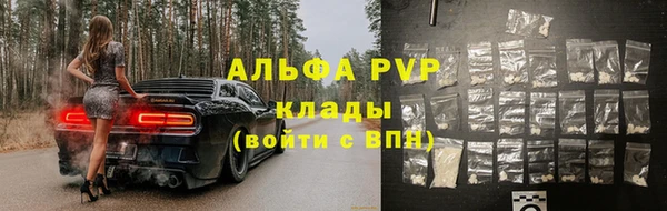 гашик Богданович