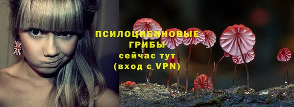 ГАЛЛЮЦИНОГЕННЫЕ ГРИБЫ Богородск