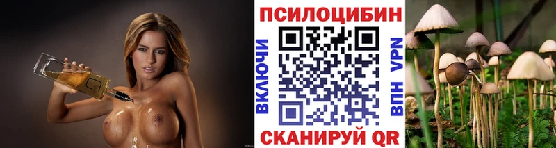 Галлюциногенные грибы Cubensis  Староминская 