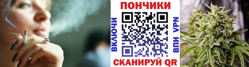 Бошки Шишки гибрид  Староминская 
